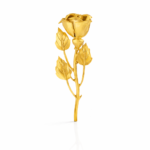 Gold_Plated_Rose_1